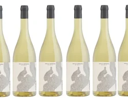 D_NQ_NP_2X_800228-MLA97112993994_112025-F